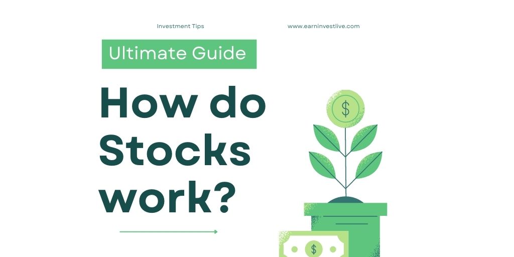 How Do Stocks Work? The Ultimate Guide to Understanding How the Stock Market Works