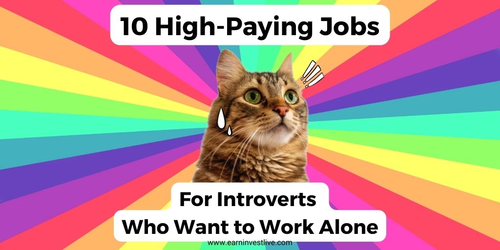 10 High-Paying Jobs for Introverts Who Want to Work Alone